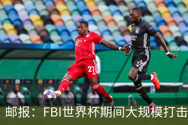 邮报：FBI世界杯期间大规模打击无人机活动，一名非法移民被捕